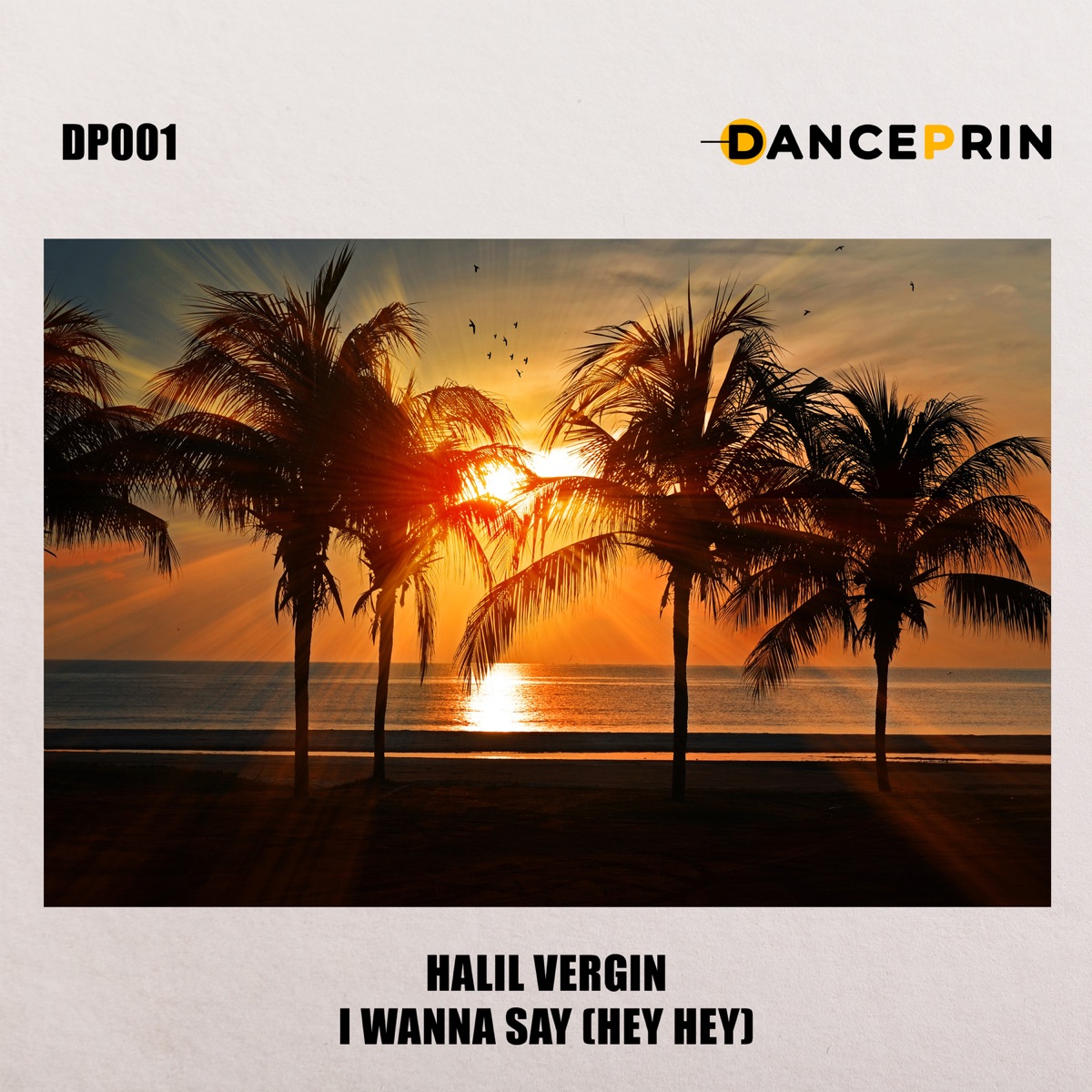 I Wanna Say / Hey Hey - Single by Halil Vergin album cover