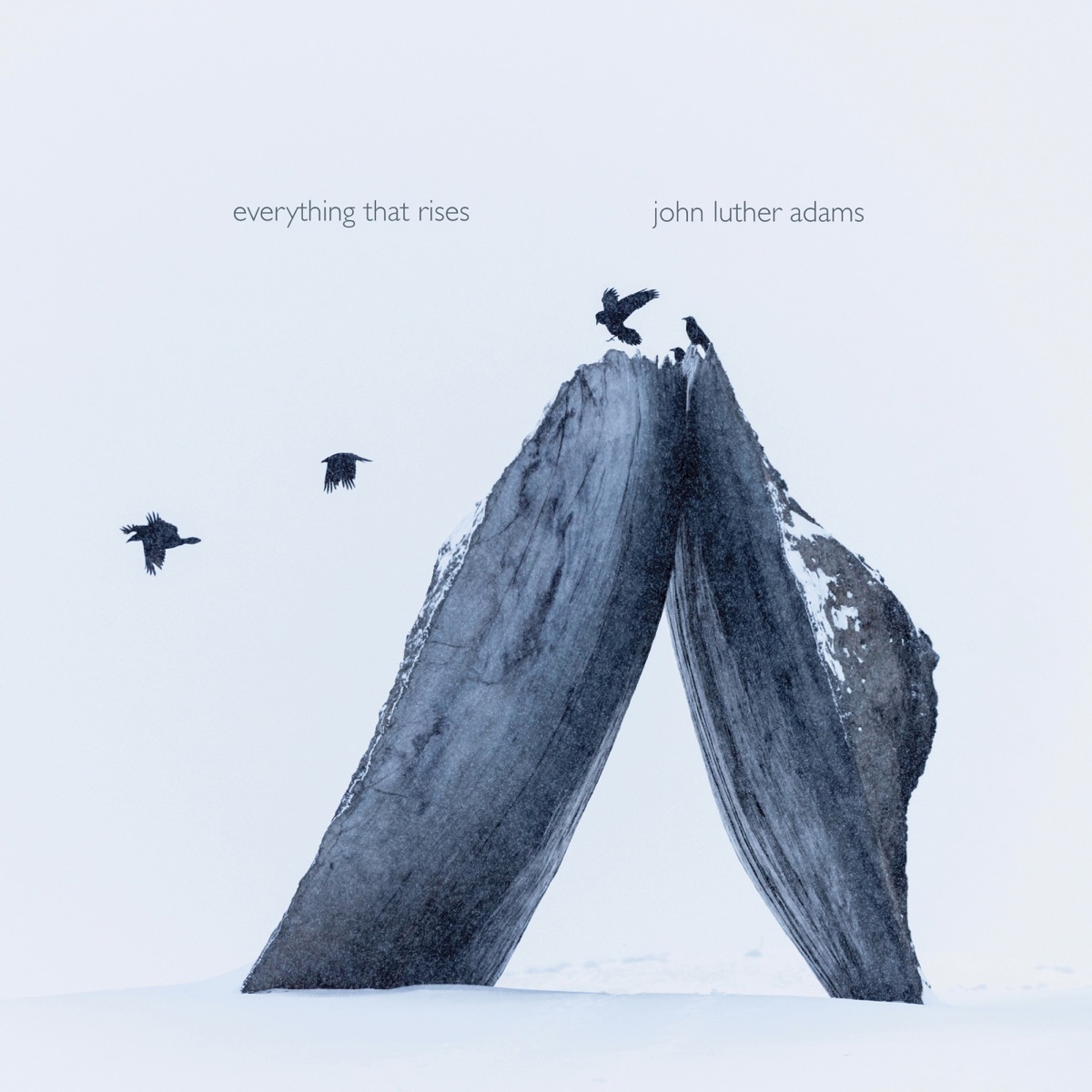 John Luther Adams: Everything That Rises by JACK Quartet album cover