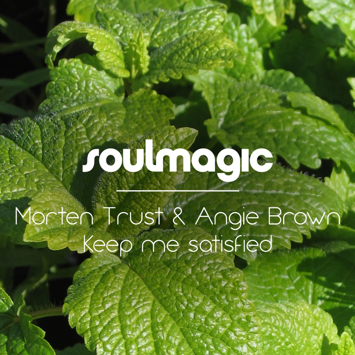 Keep Me Satisfied - Single by Morten Trust & Angie Brown album cover