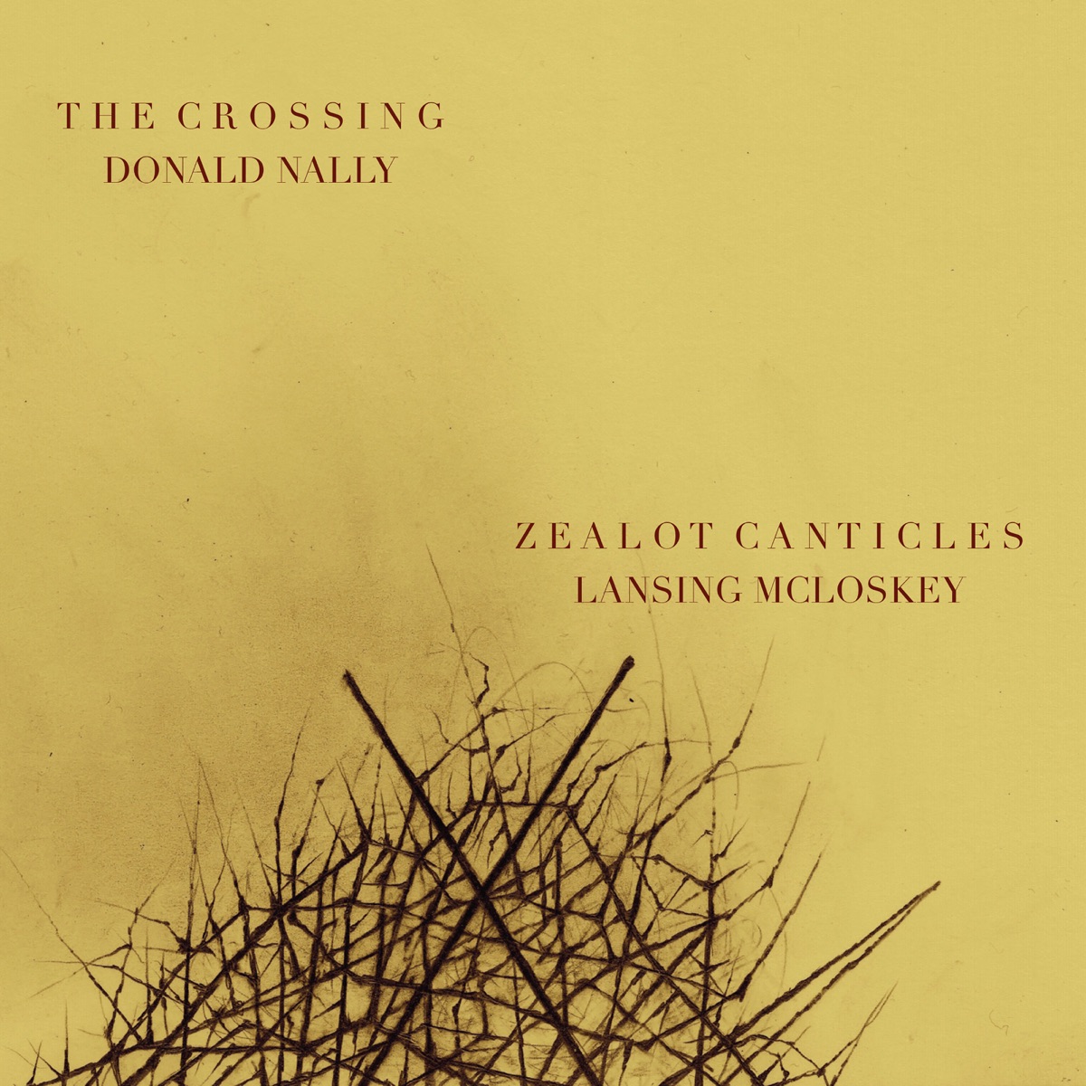 Zealot Canticles by Doris Hall Gulati, Maren Montalbano-Brehm, Rebecca Harris, Mandy Wolman, Lorenzo Raval, Arlen Hlusko, Donald Nally, The Crossing, Rebecca Siler & Elijah Blaisdell album cover