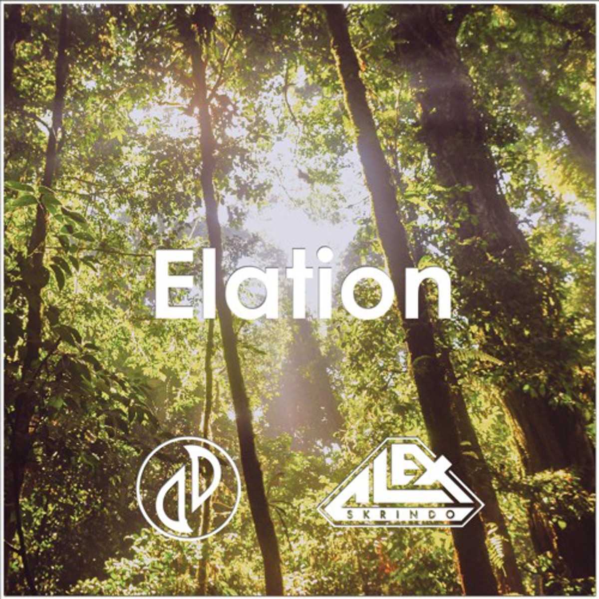 Elation - Single by JJD & Alex Skrindo album cover