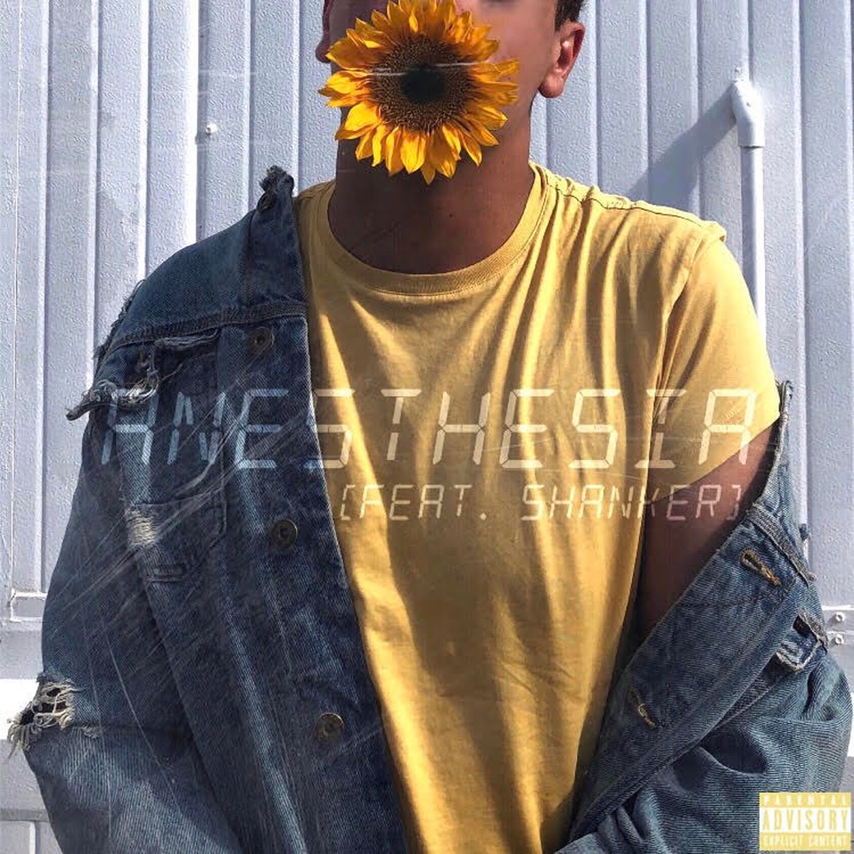Anesthesia (feat. Shanker) - Single by Felipe Siquara album cover