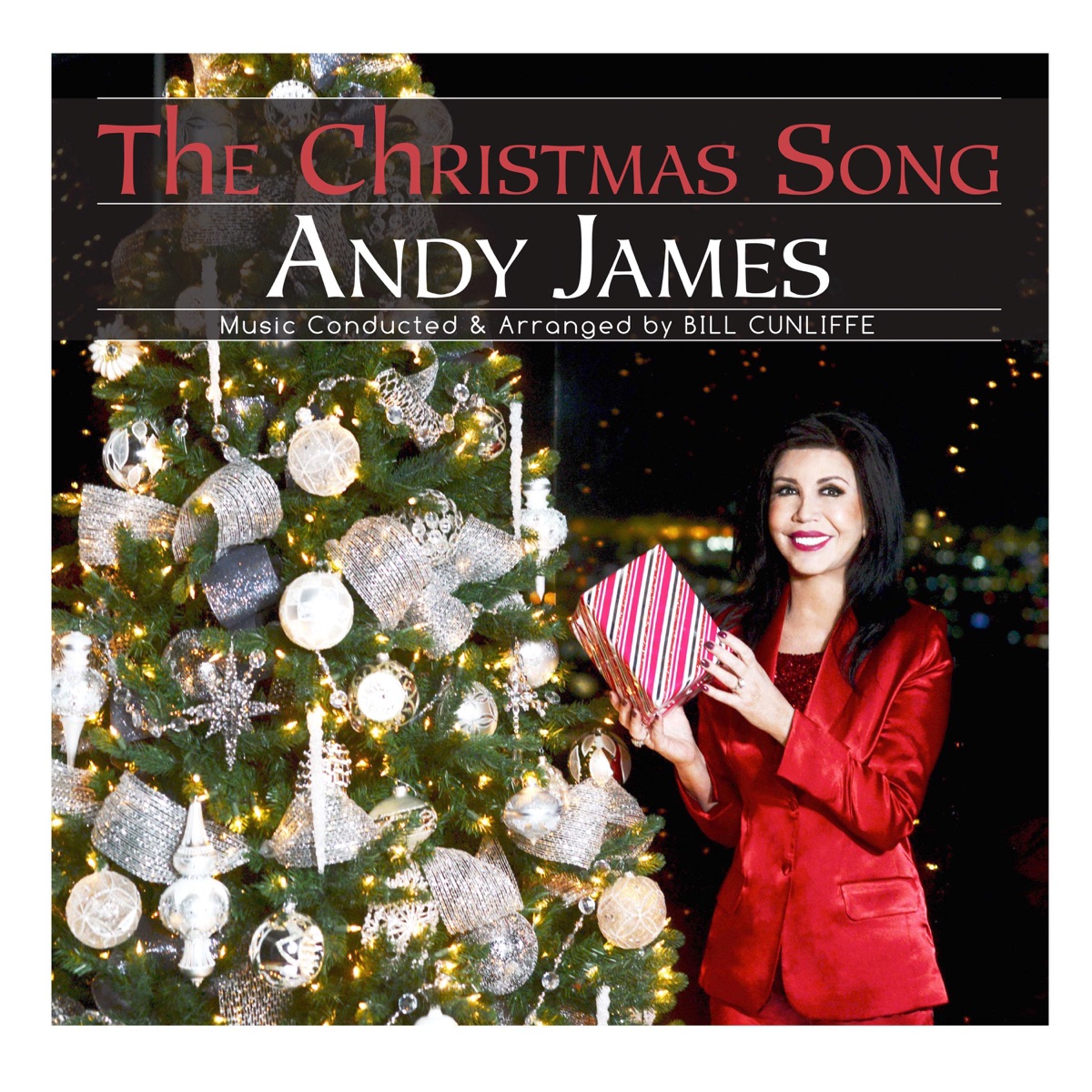 The Christmas Song - Single by Andy James album cover