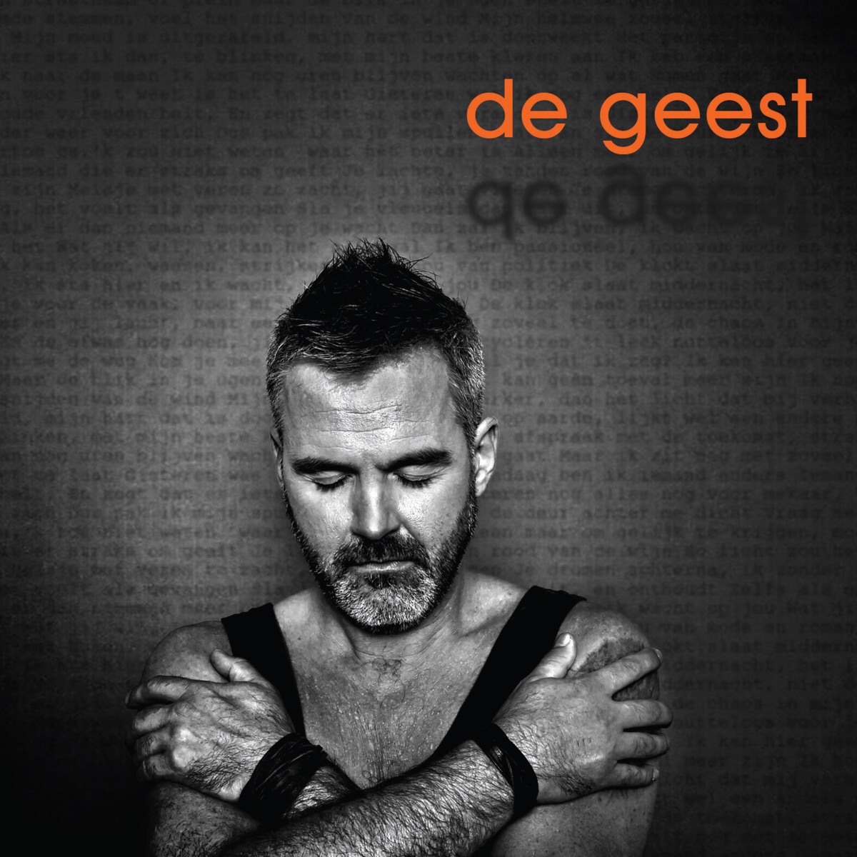 Zeeland - Single by De Geest album cover