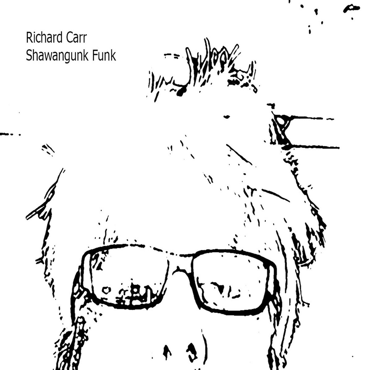 Shawangunk Funk by Richard Carr album cover