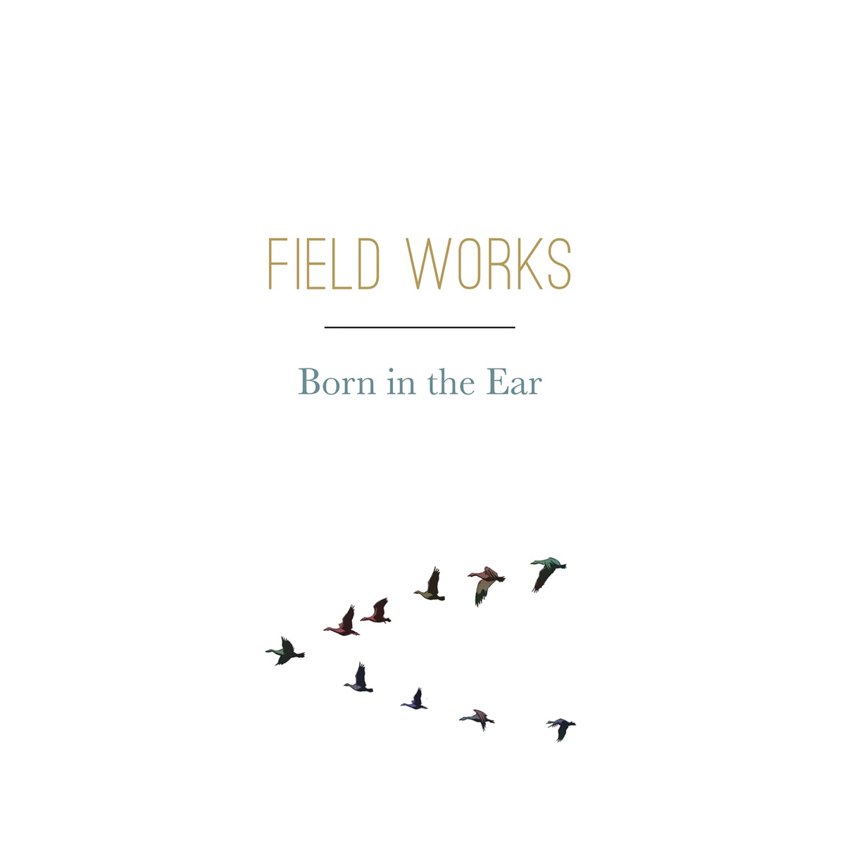 Born in the Ear by Field Works album cover