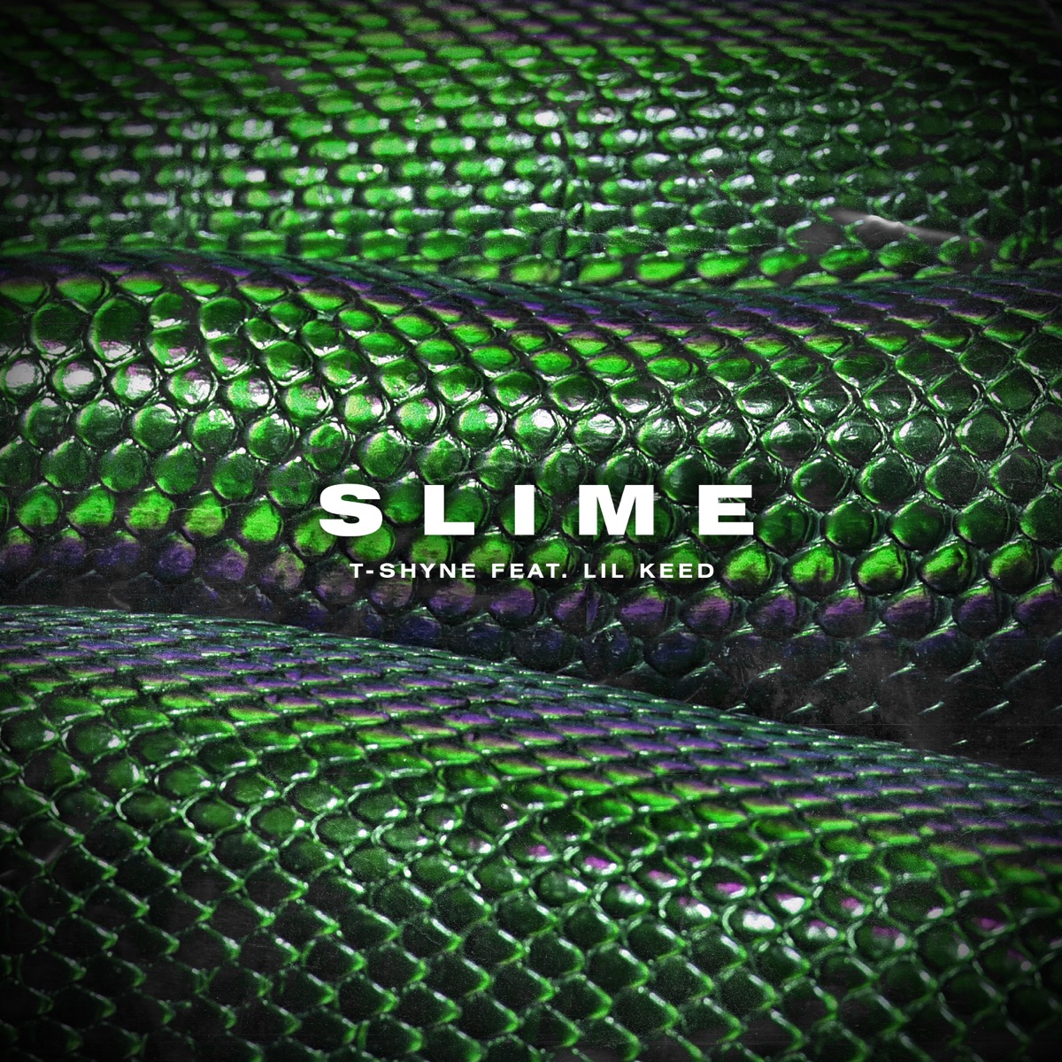 Slime - Single by T-Shyne & Lil Keed album cover