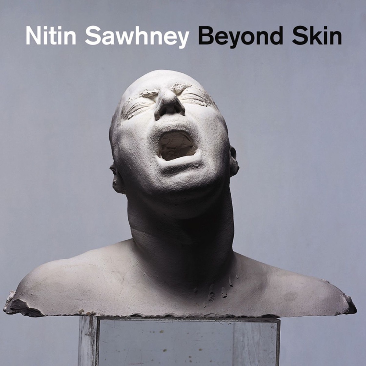 Beyond Skin by Nitin Sawhney album cover