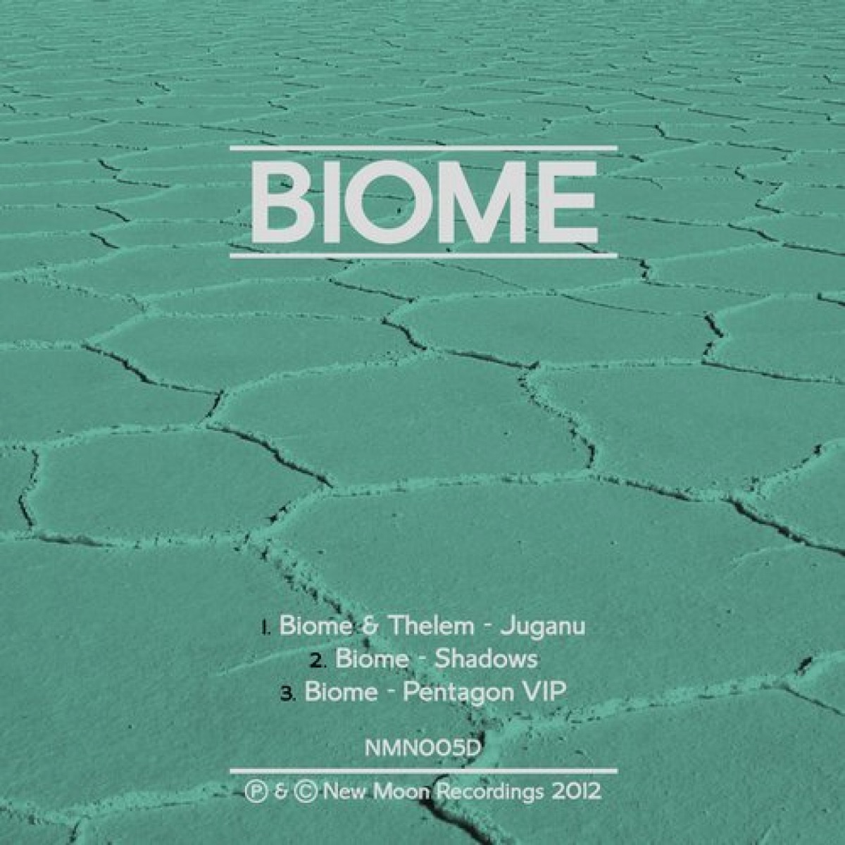 Shadows - Single by Biome & Thelem album cover