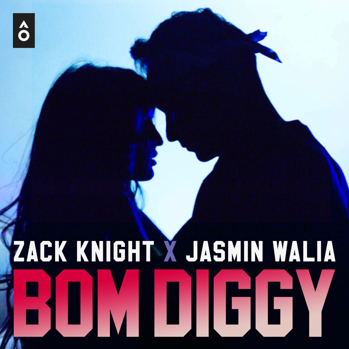 Bom Diggy - Single by Zack Knight & Jasmin Walia album cover