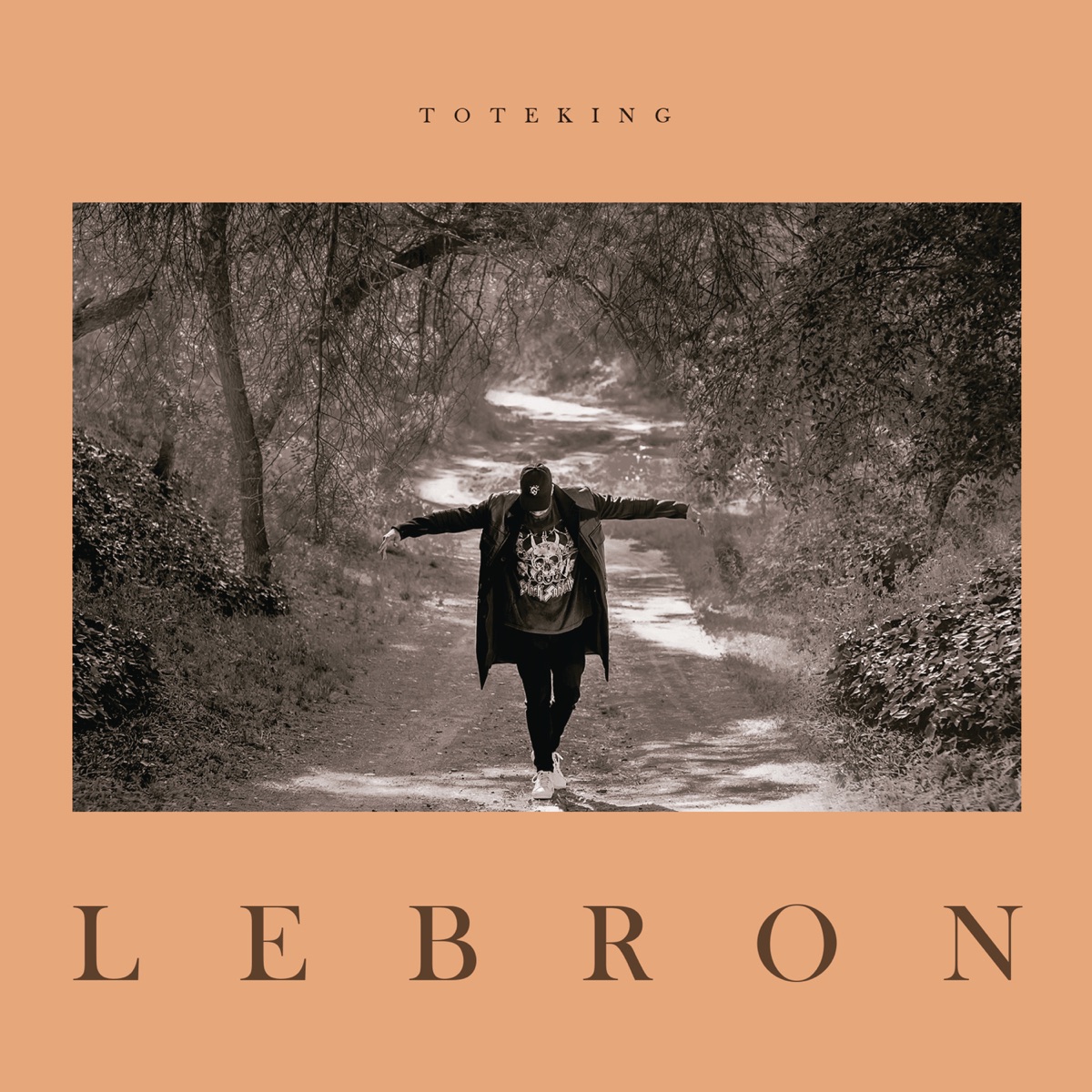 Lebron by Toteking album cover