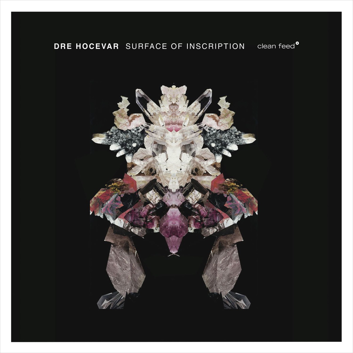 Surface of Inscription (feat. Elias Stemeseder, Charmaine Lee, Bernardo Barros, Weston Olencki & Michael Foster) by Dré Hočevar album cover