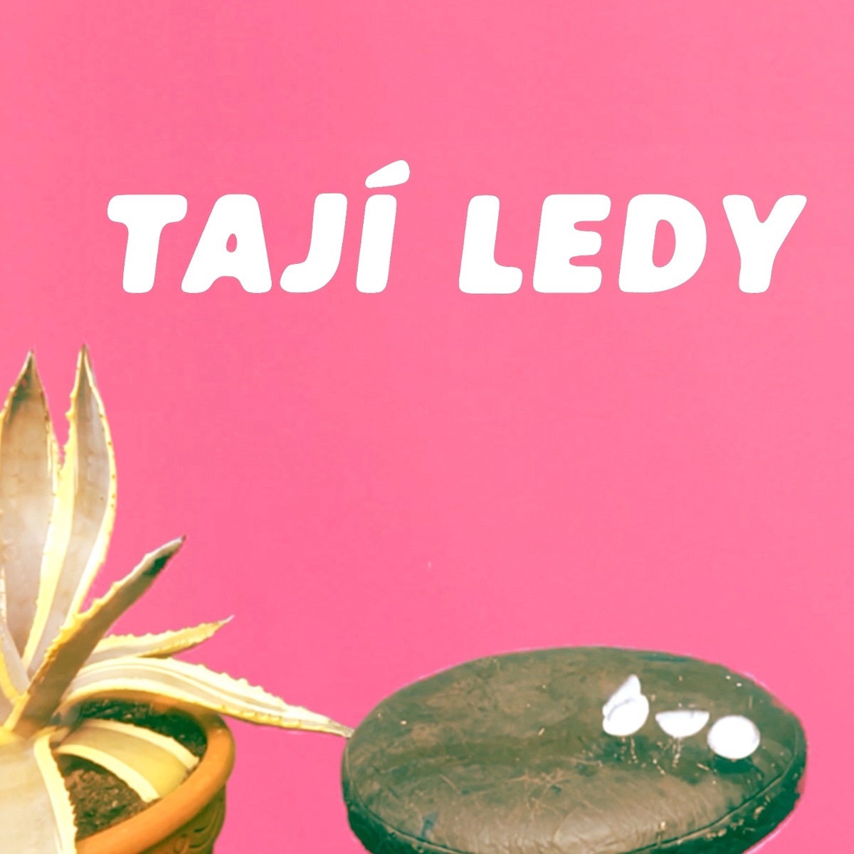 Tají Ledy - Single by O5 a Radeček album cover