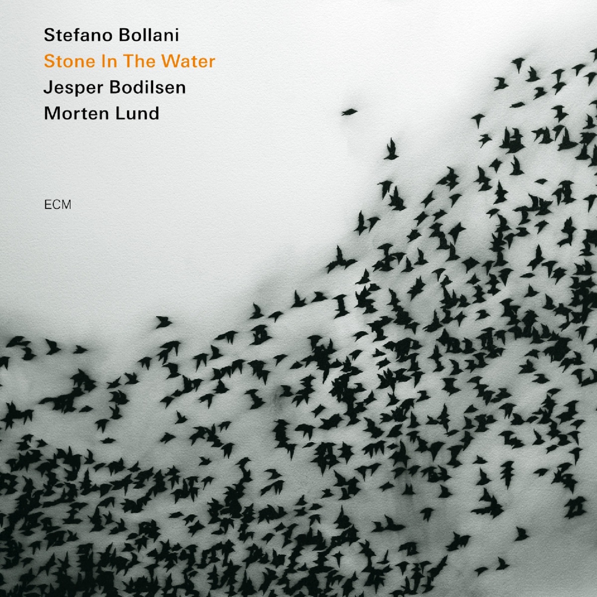 Stone In The Water by Stefano Bollani Trio album cover