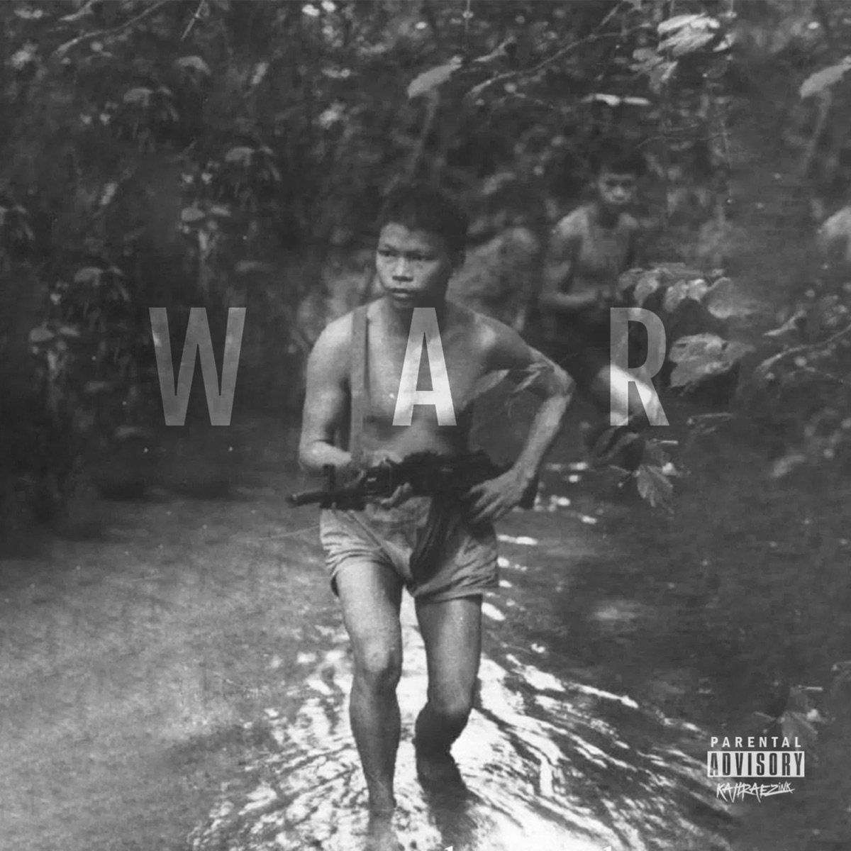 War by Dub P album cover