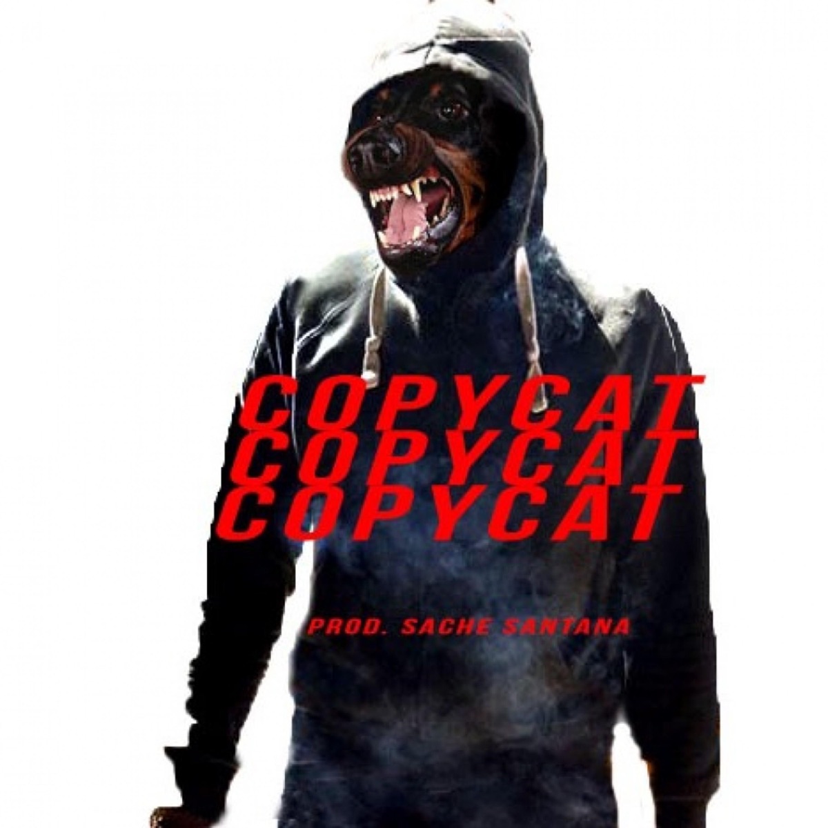 Copycat - Single by Jordan Jack$on album cover
