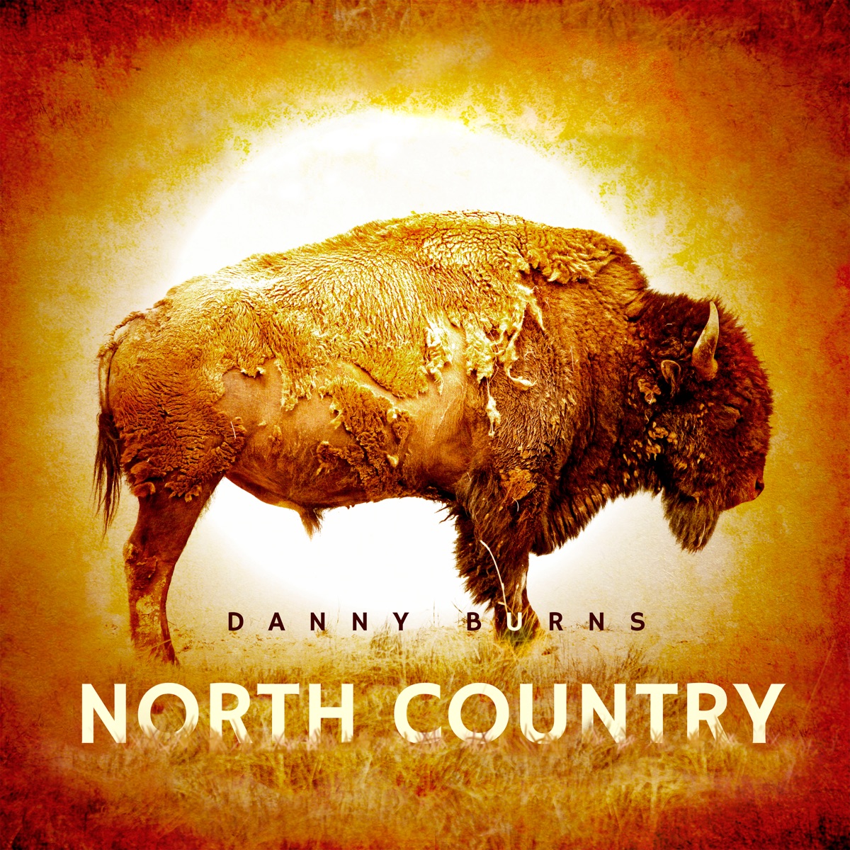 North Country by Danny Burns album cover