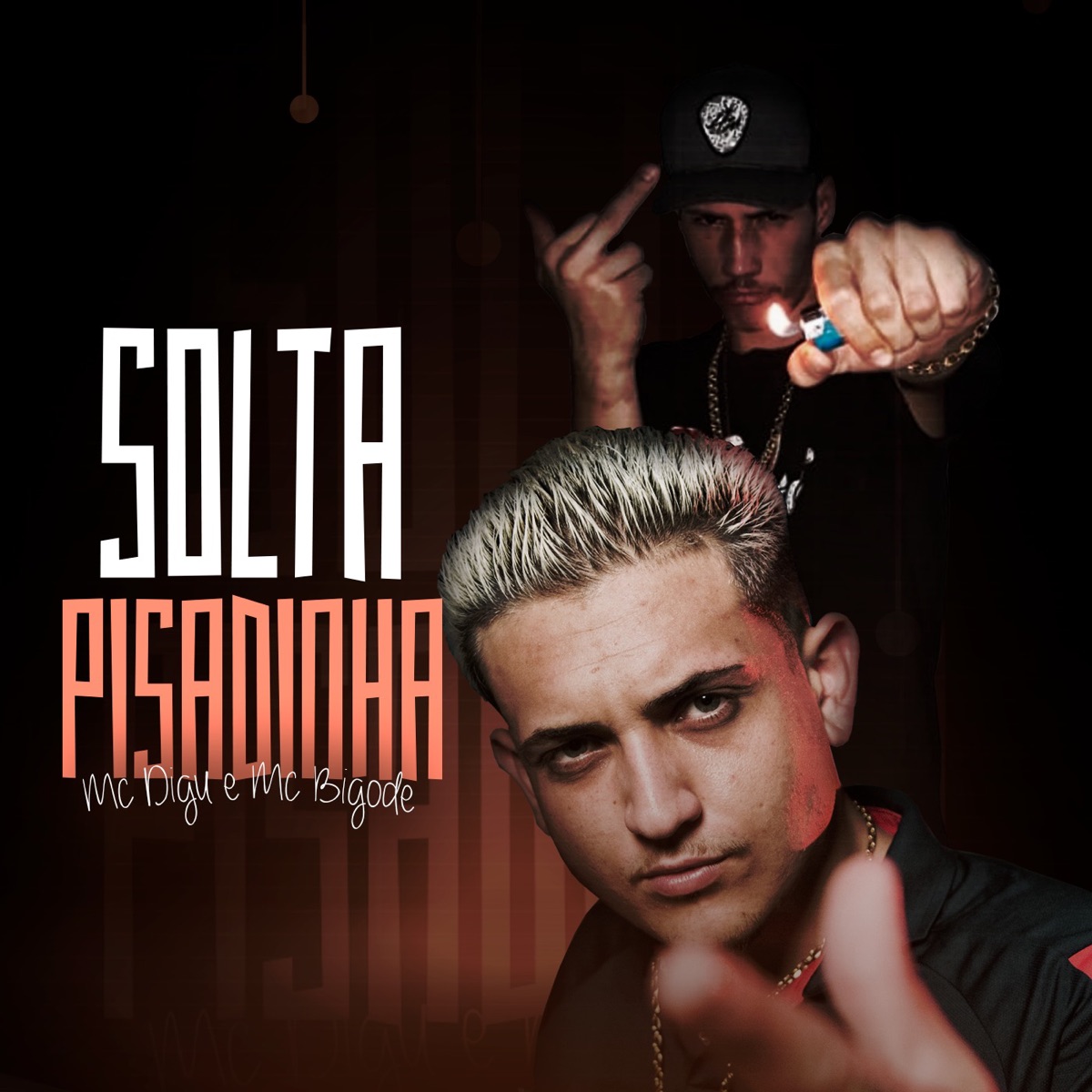 Solta a Pisadinha (feat. Mc Bigode) - Single by MC Digu album cover