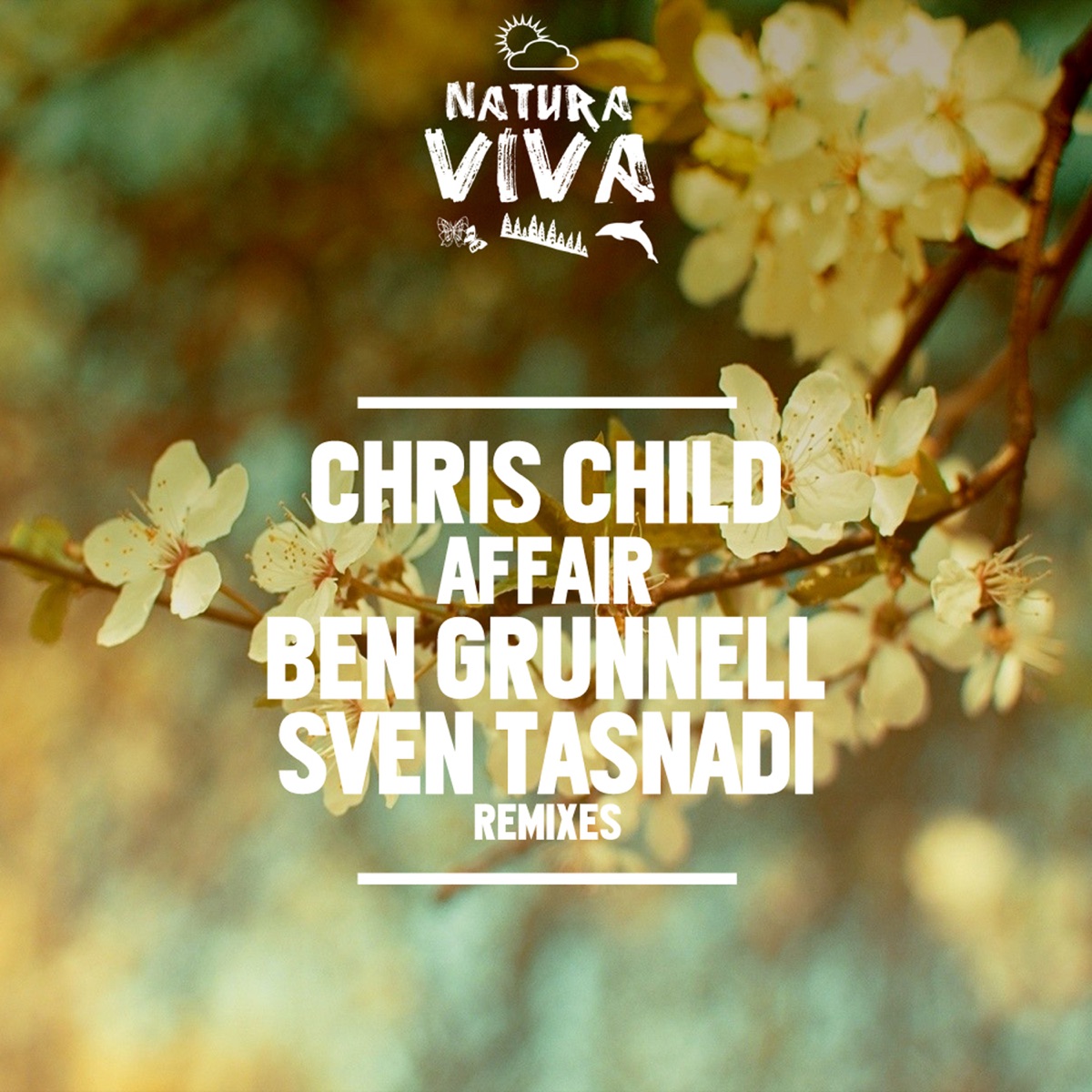 Affair - Single by Chris Child album cover