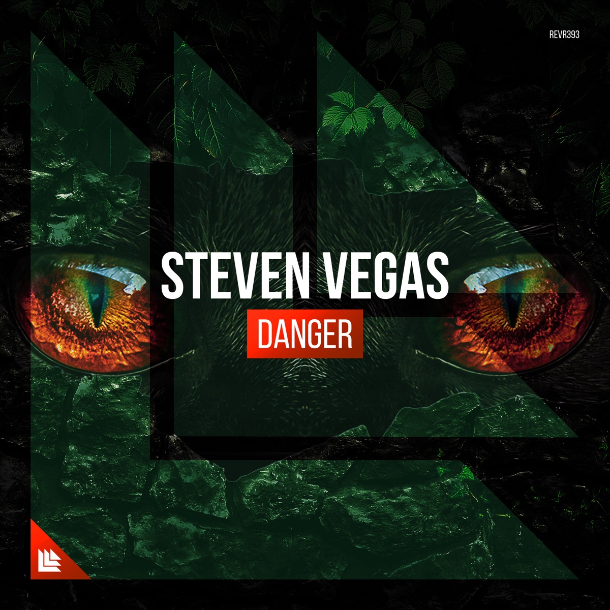 Danger - Single by Steven Vegas album cover