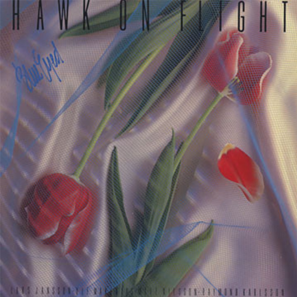 Blue Eyed (feat. Matz Nilsson, Lars Janssom, Ulf Wakenius & Raymond Karlsson) by Hawk On Flight album cover