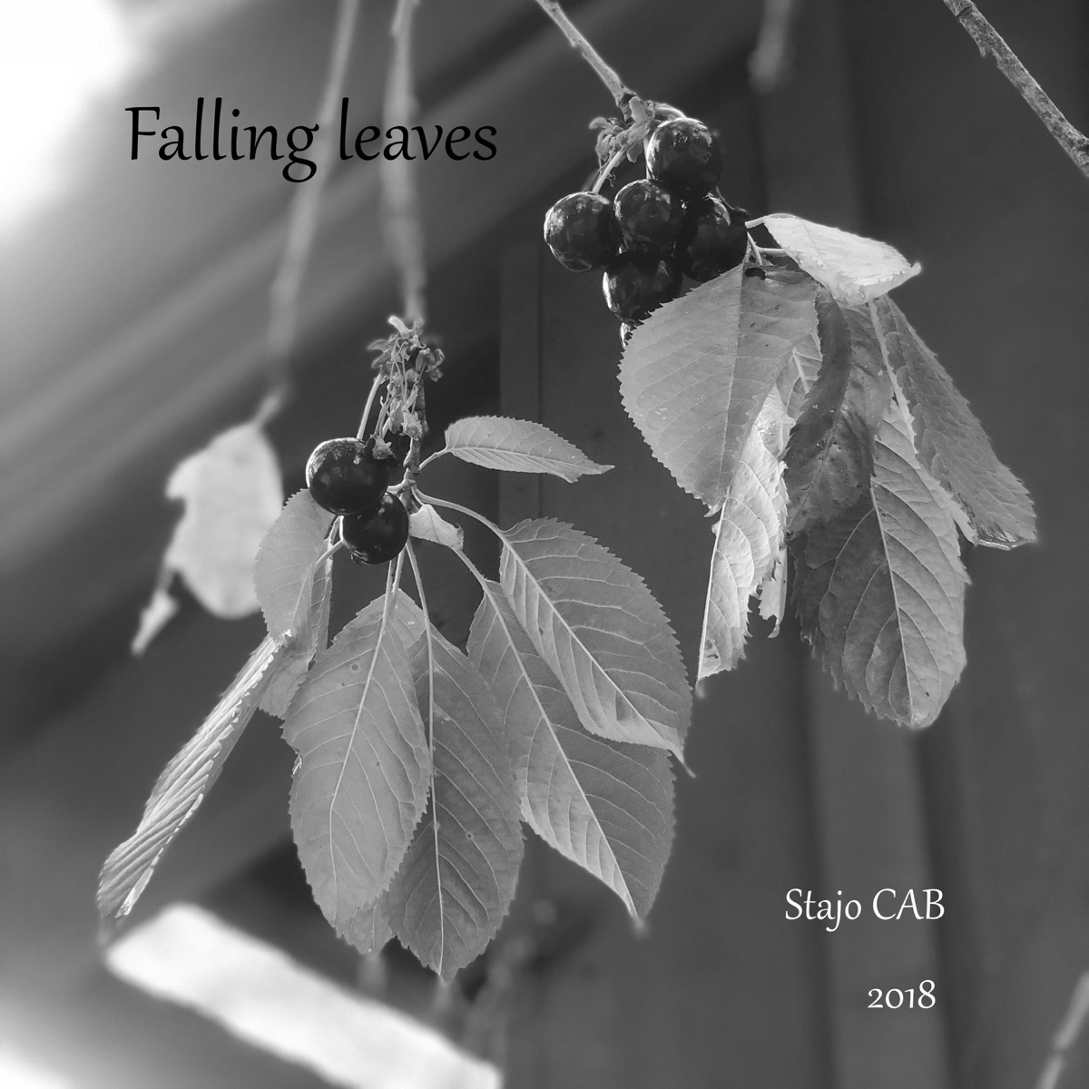 Falling Leaves (feat. Bkwilliamson & Mack) - Single by Stajo CAB album cover