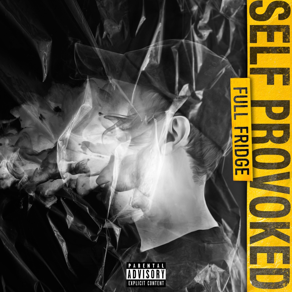 Full Fridge by Self Provoked album cover