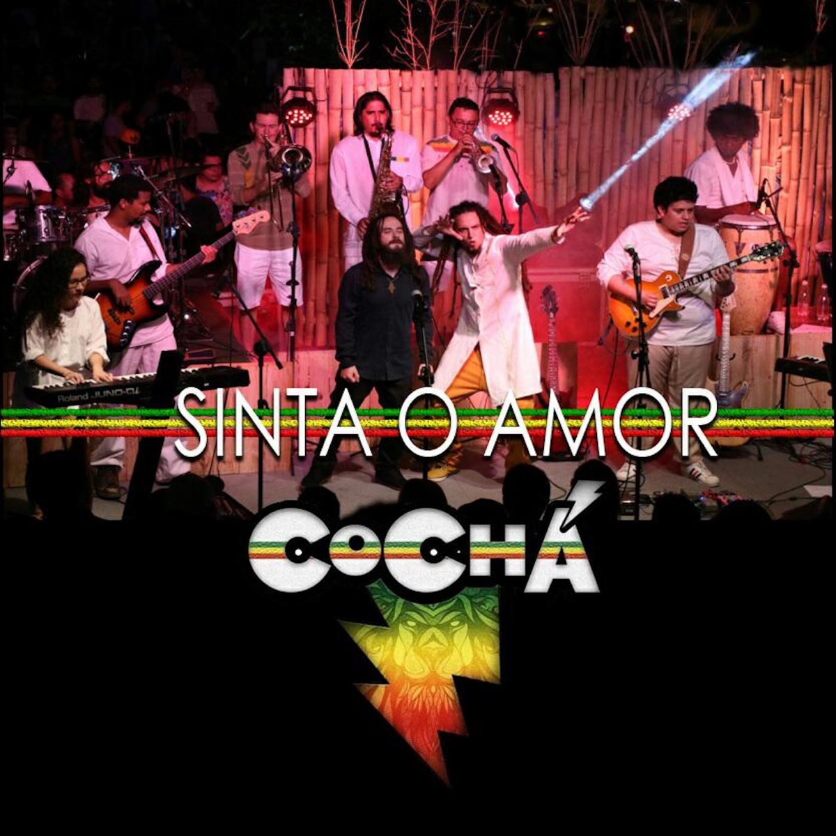 Sinta o Amor (Ao Vivo) by CoChá album cover