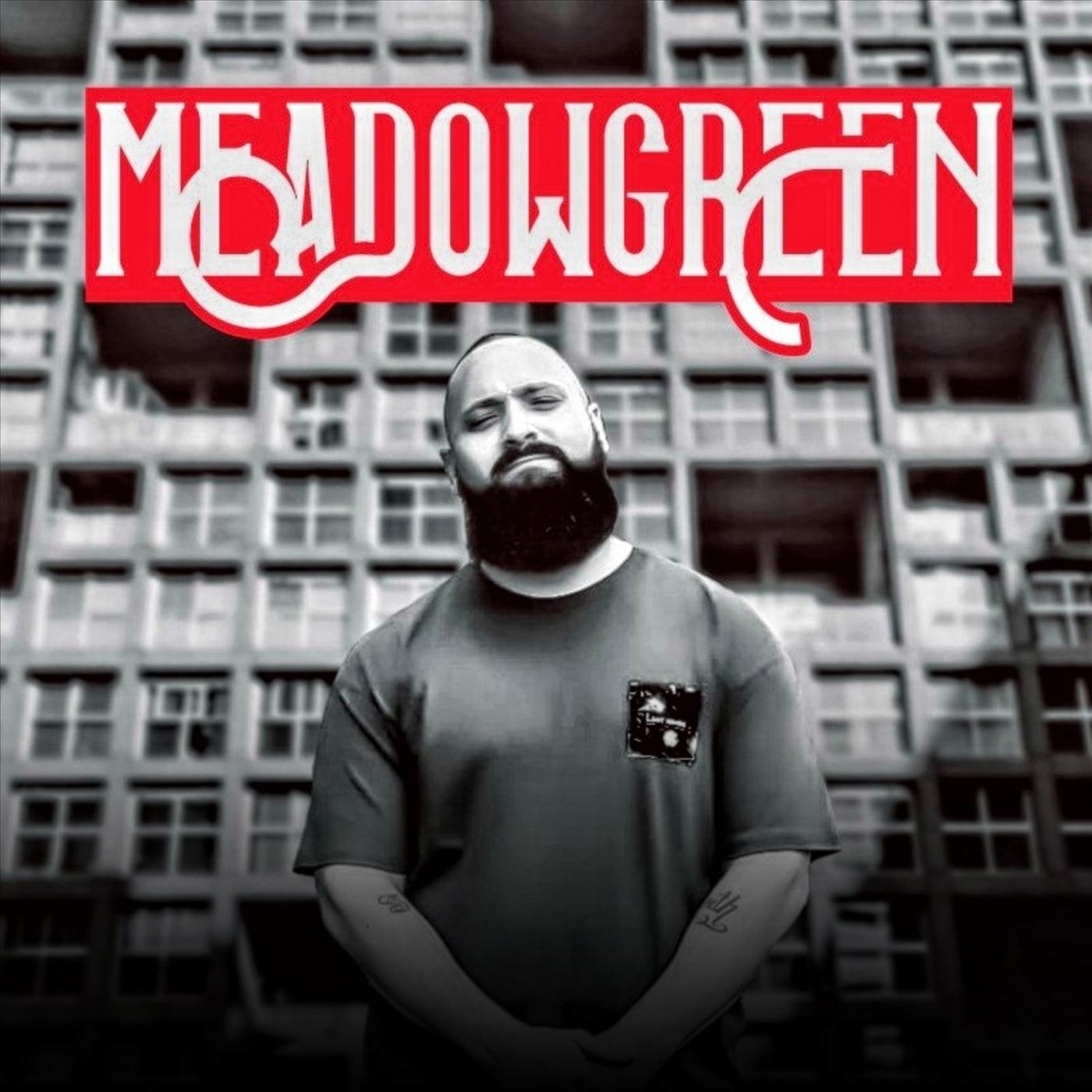 Meadowgreen (feat. Ruby) - Single by Chosen album cover