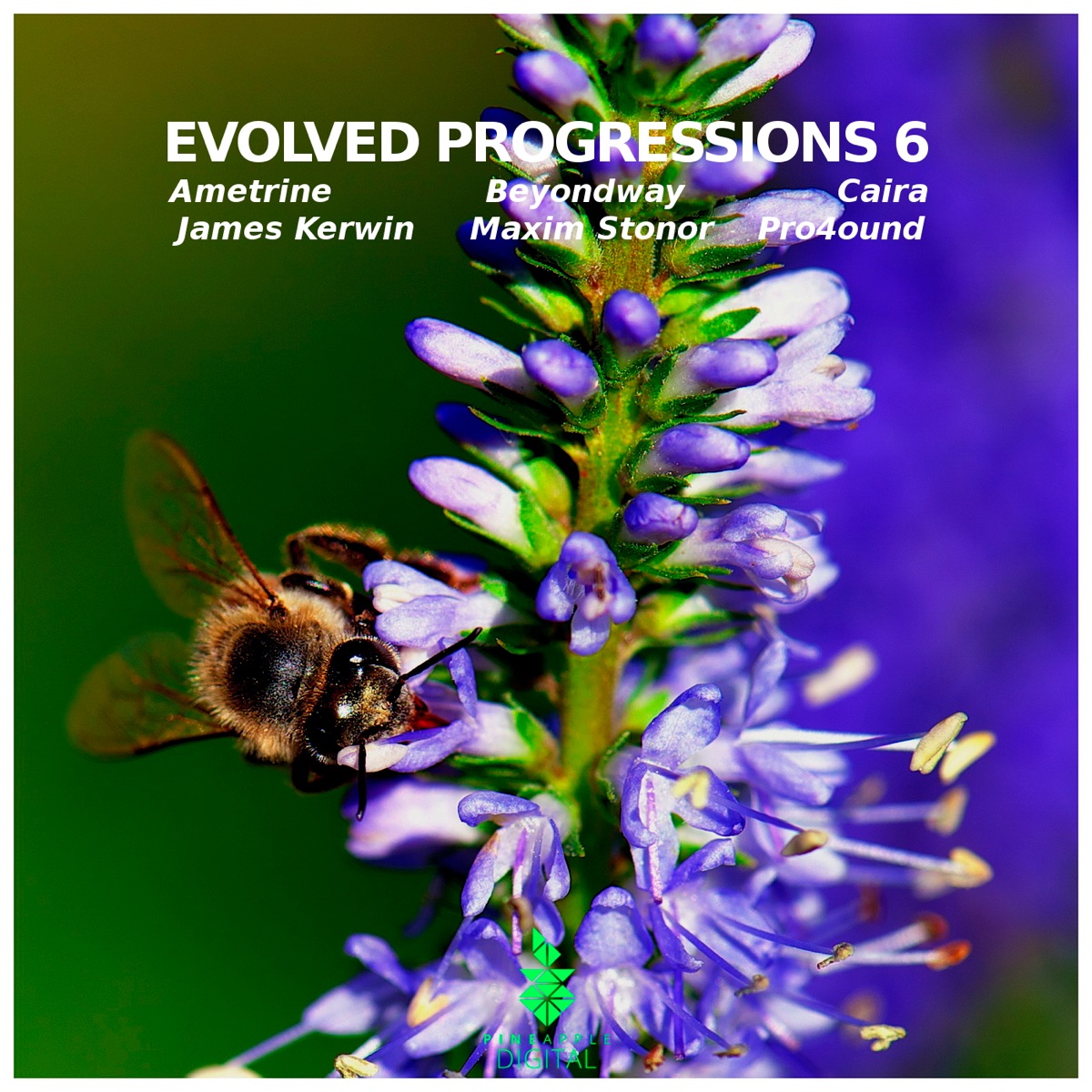 Evolved Progressions 6 by Ametrine, Beyondway & Caira album cover