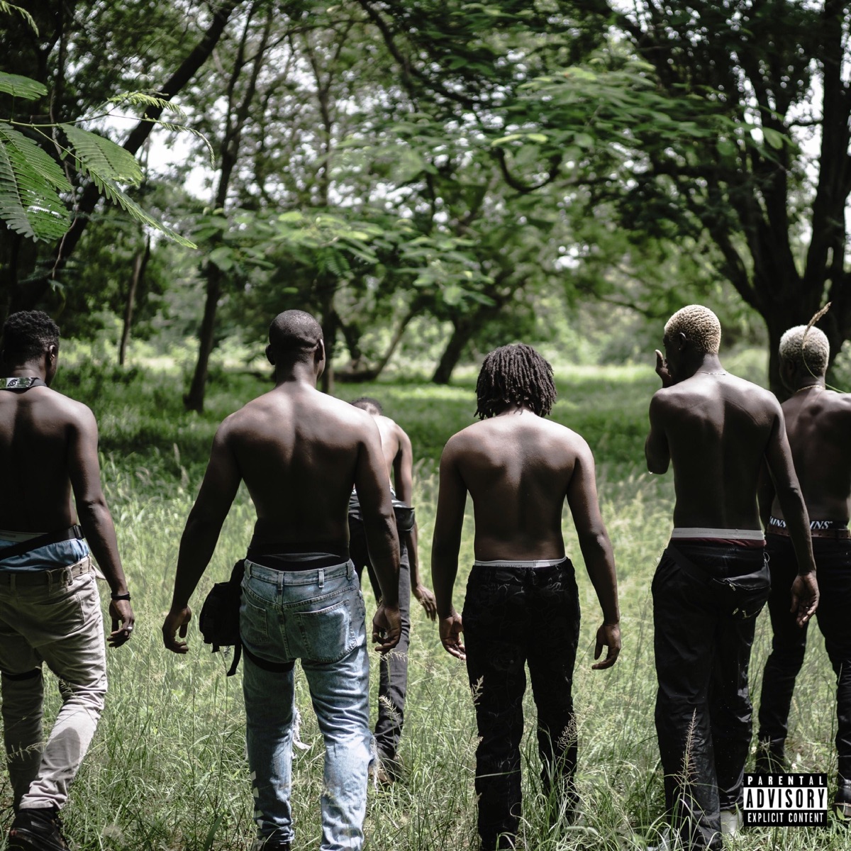Stone Island (feat. Darkovibes, RJZ & Kiddblack) - Single by La Même Gang album cover