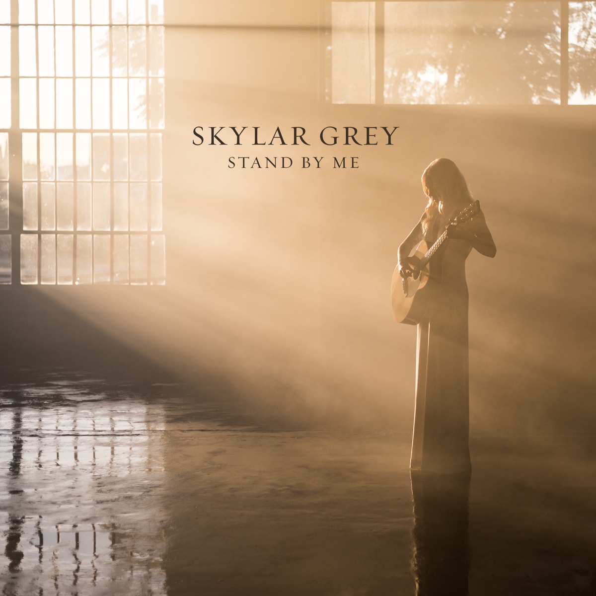 Stand By Me - Single by Skylar Grey album cover