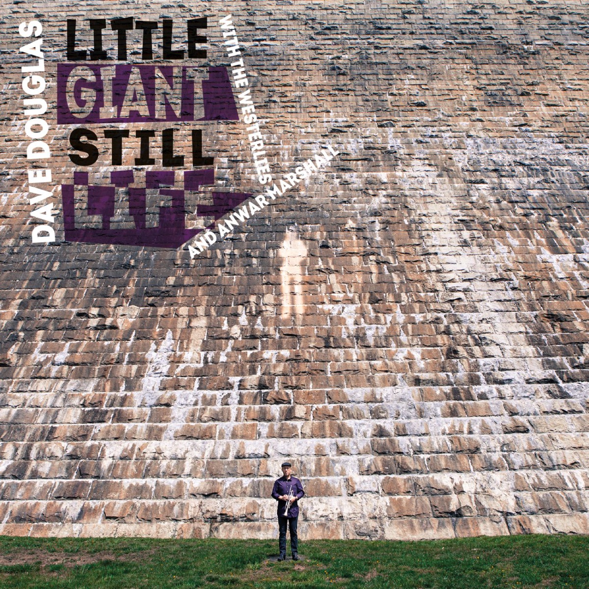 Little Giant Still Life (feat. The Westerlies & Anwar Marshall) by Dave Douglas album cover