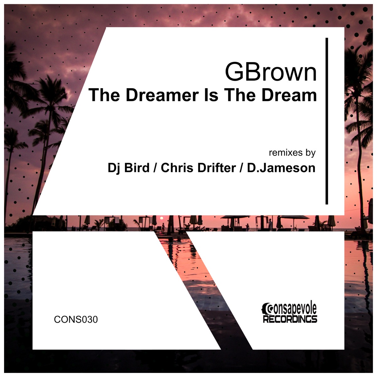 The Dreamer Is the Dream - Single by Chris Drifter, DJ Bird & G.Brown album cover