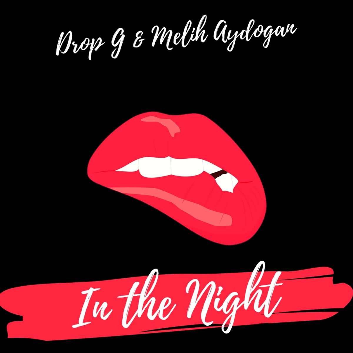 In the Night - Single by Drop - G & Melih Aydogan album cover