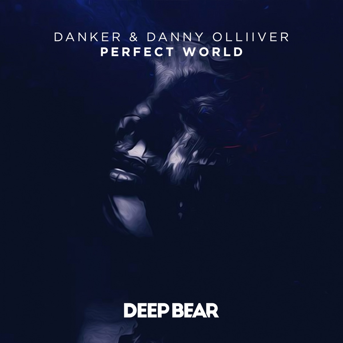 Perfect World - Single by Danker & Danny Olliiver album cover