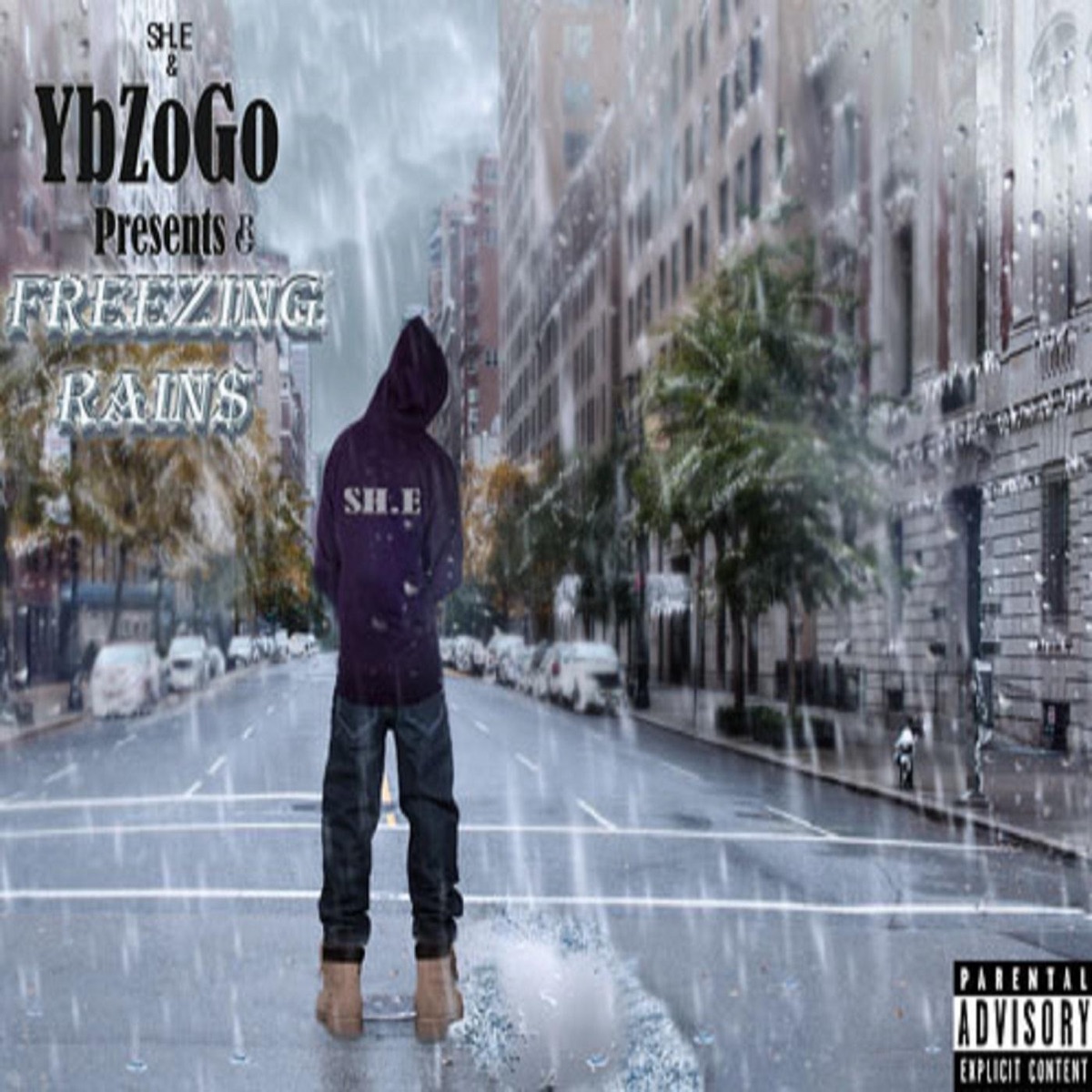 Freezing Rain$ - Single by Ybzogo album cover