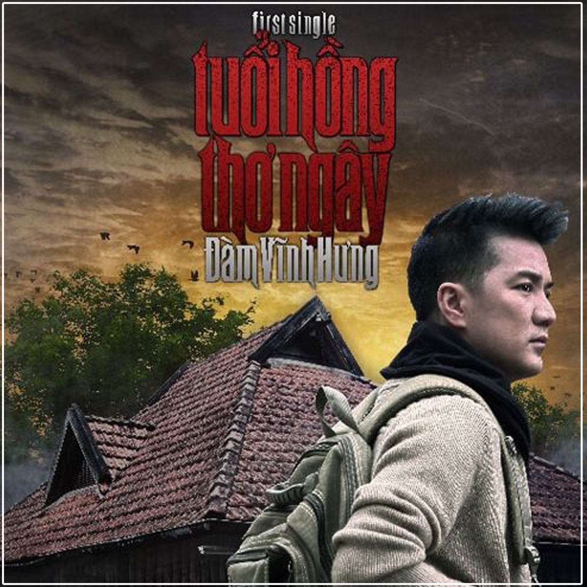 Tuổi Hồng Thơ Ngây by Đàm Vĩnh Hưng album cover
