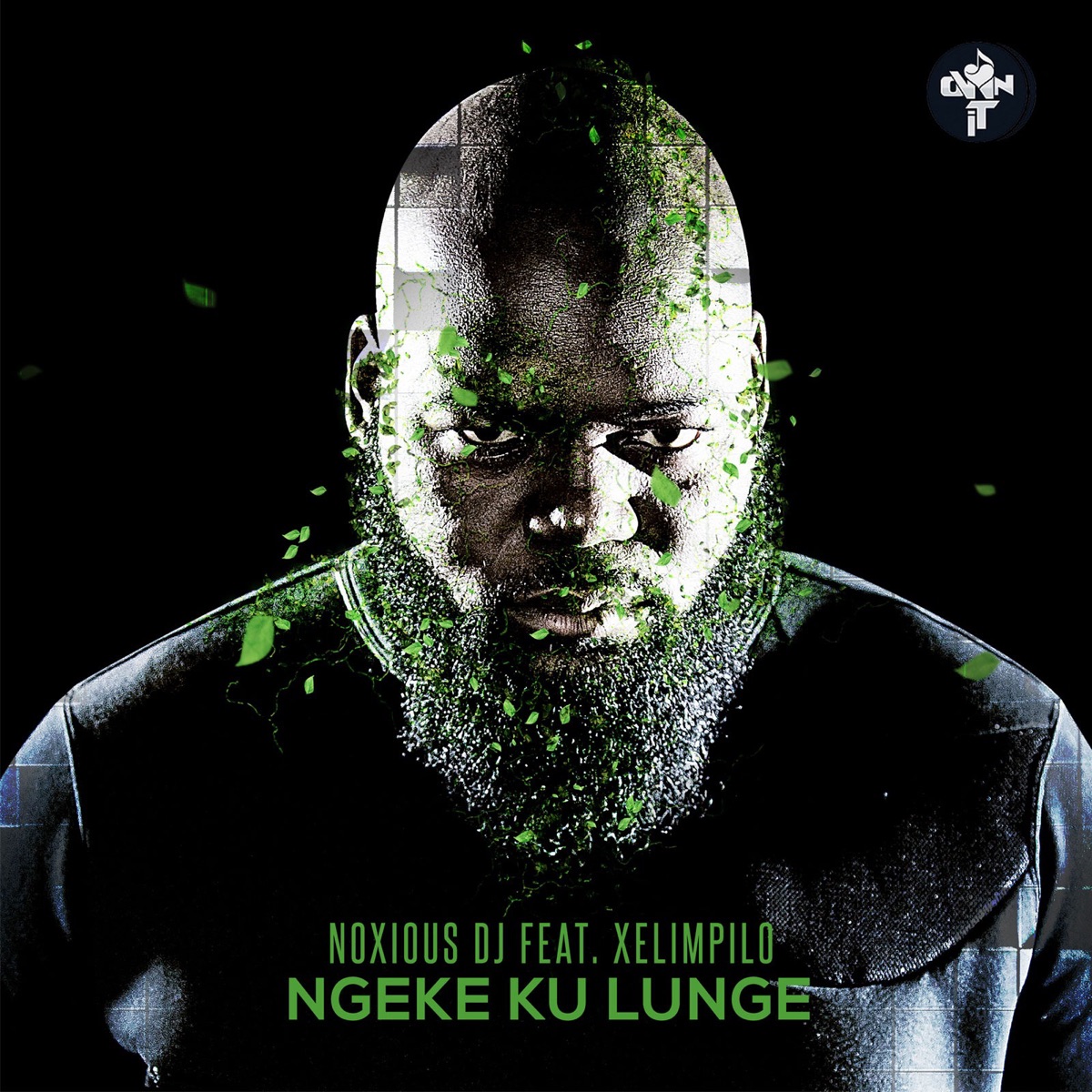 Ngeke Ku Lunge (feat. Xelimpilo) - Single by Noxious DJ album cover
