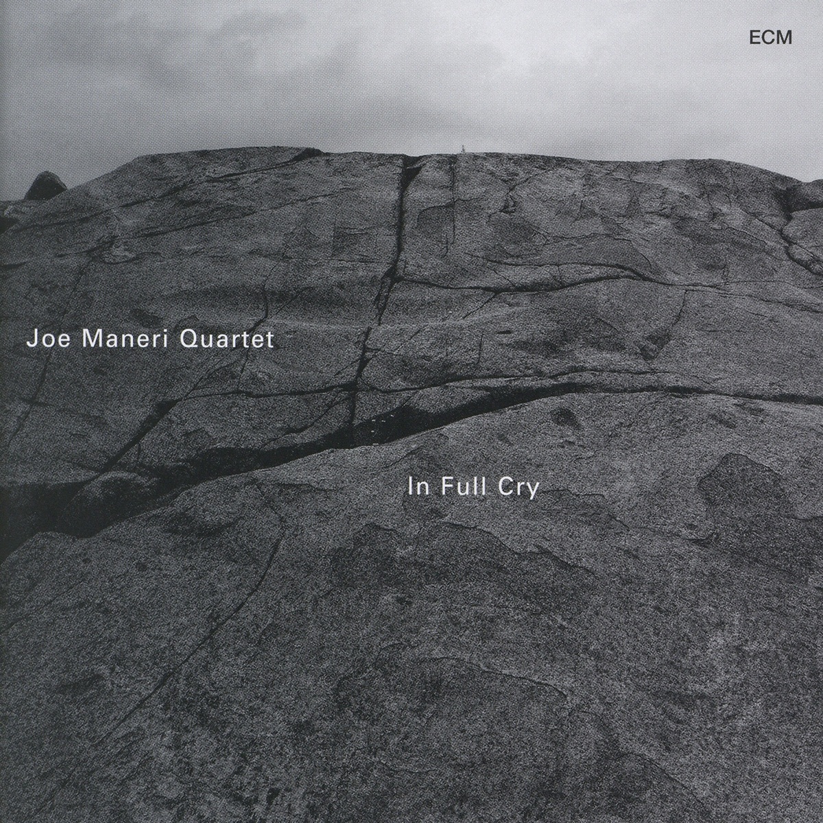 In Full Cry by Joe Maneri Quartet album cover
