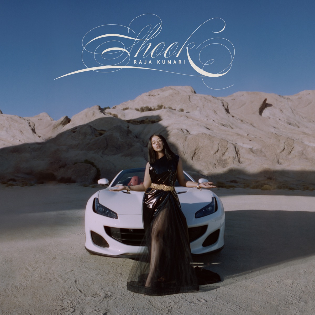 SHOOK - Single by Raja Kumari album cover