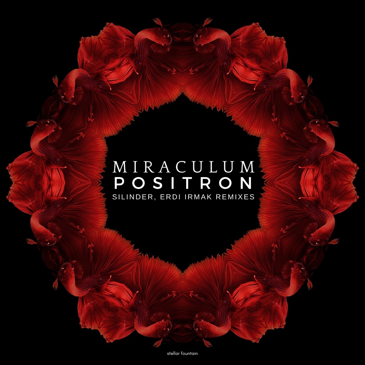 Positron - Single by MiraculuM album cover