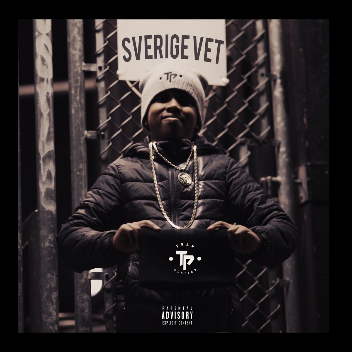 Sverige Vet by Z.E album cover