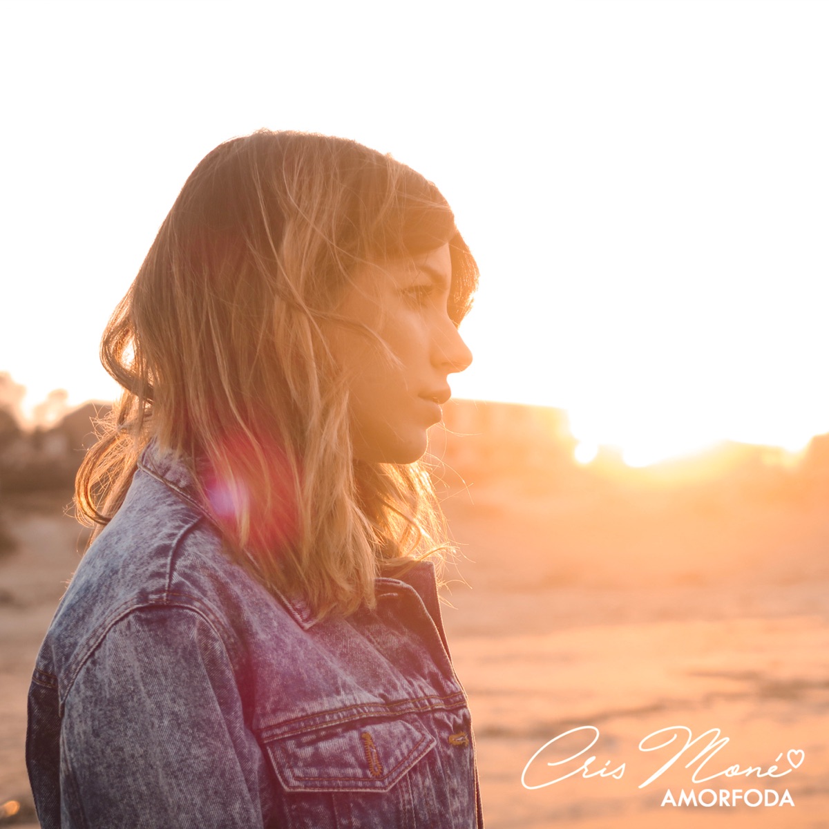 Amorfoda - Single by Cris Moné album cover