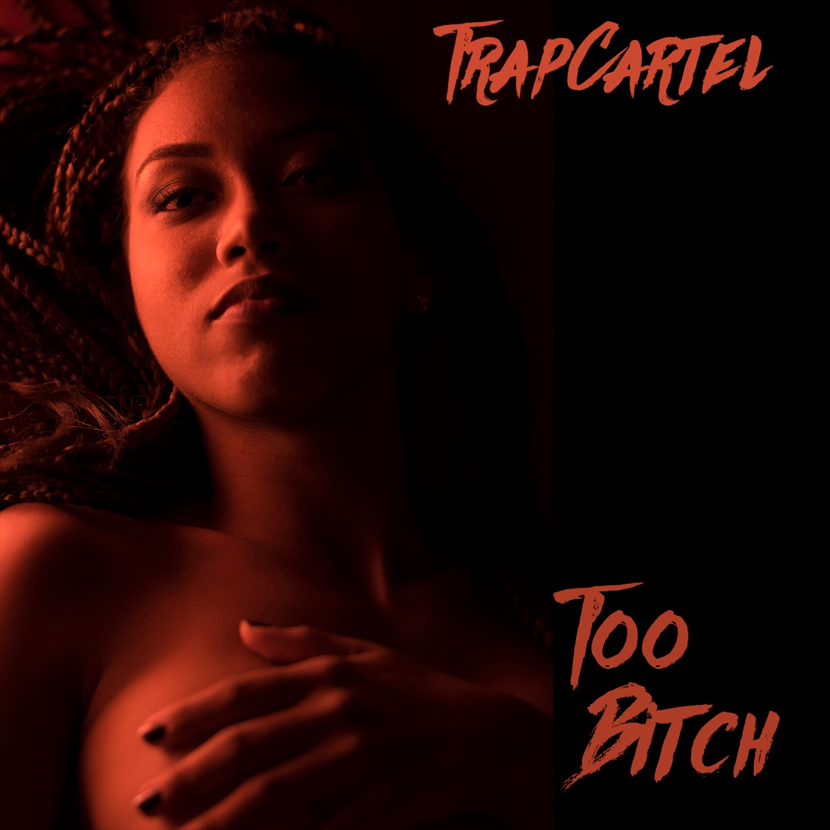 Too Bitch by TrapCartel album cover