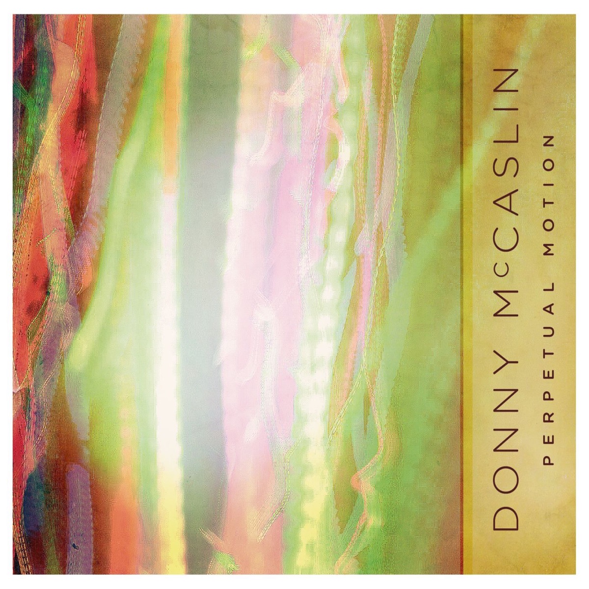 Perptual Motion (with David Binney, Adam Benjamin, Uri Caine, Tim Lefevbre, Mark Guiliana & Antonio Sanchez) by Donny McCaslin album cover