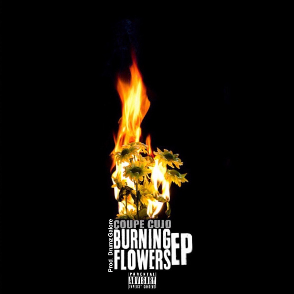 Burning Flowers - EP by Coupe Cujo album cover