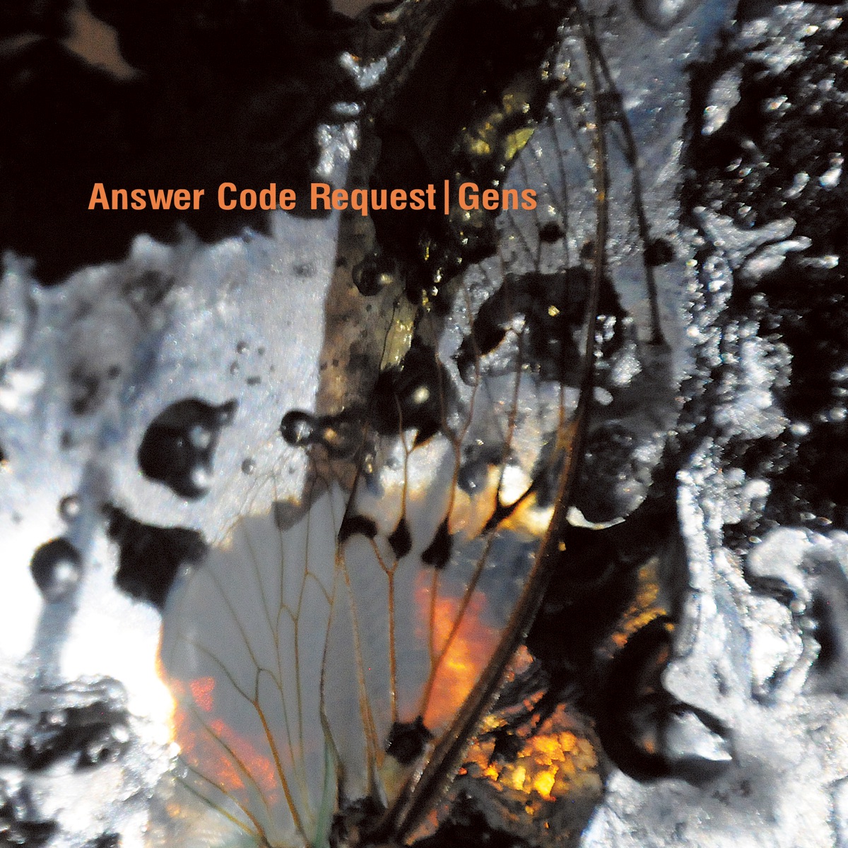Gens by Answer Code Request album cover