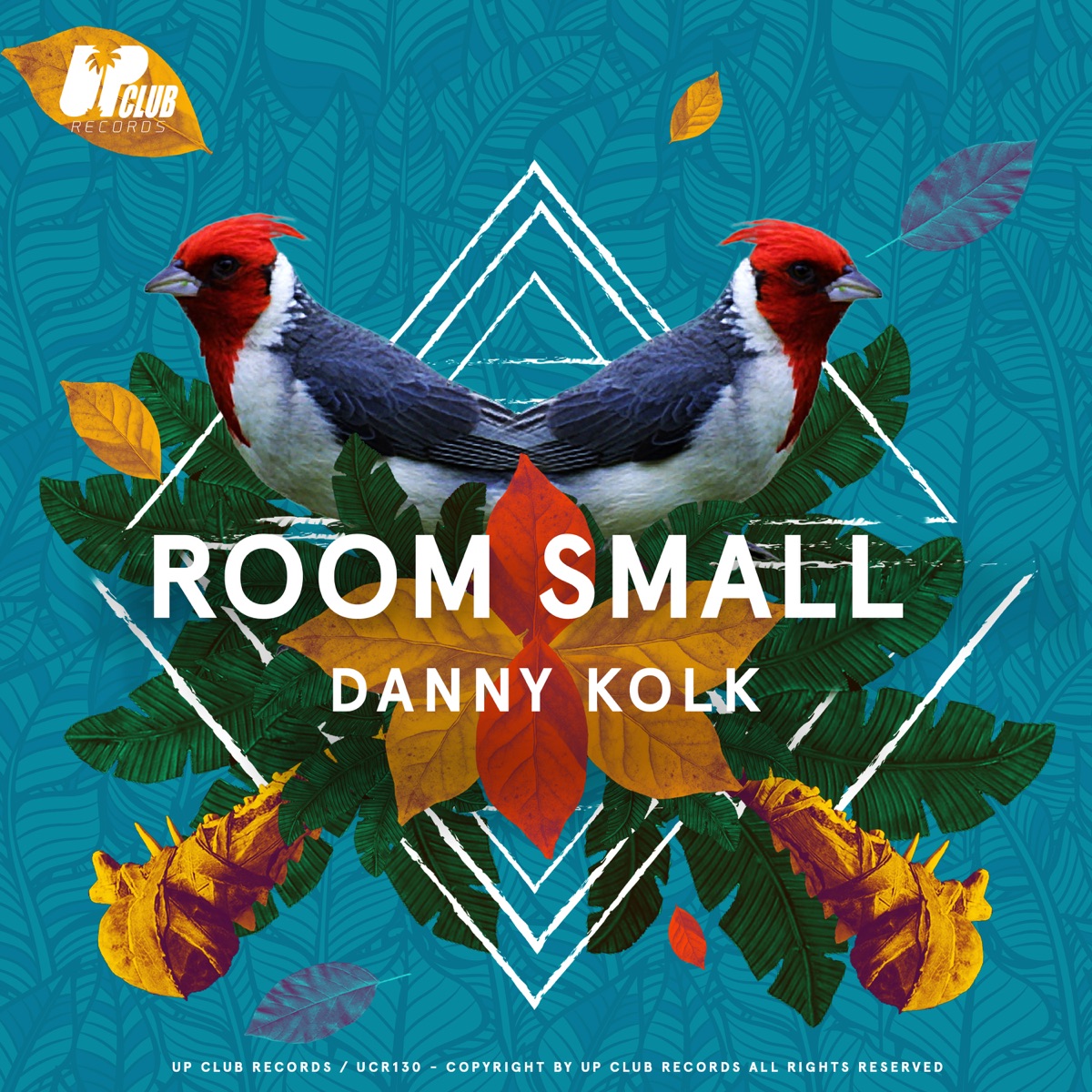 Room Small - Single by Danny Kolk album cover