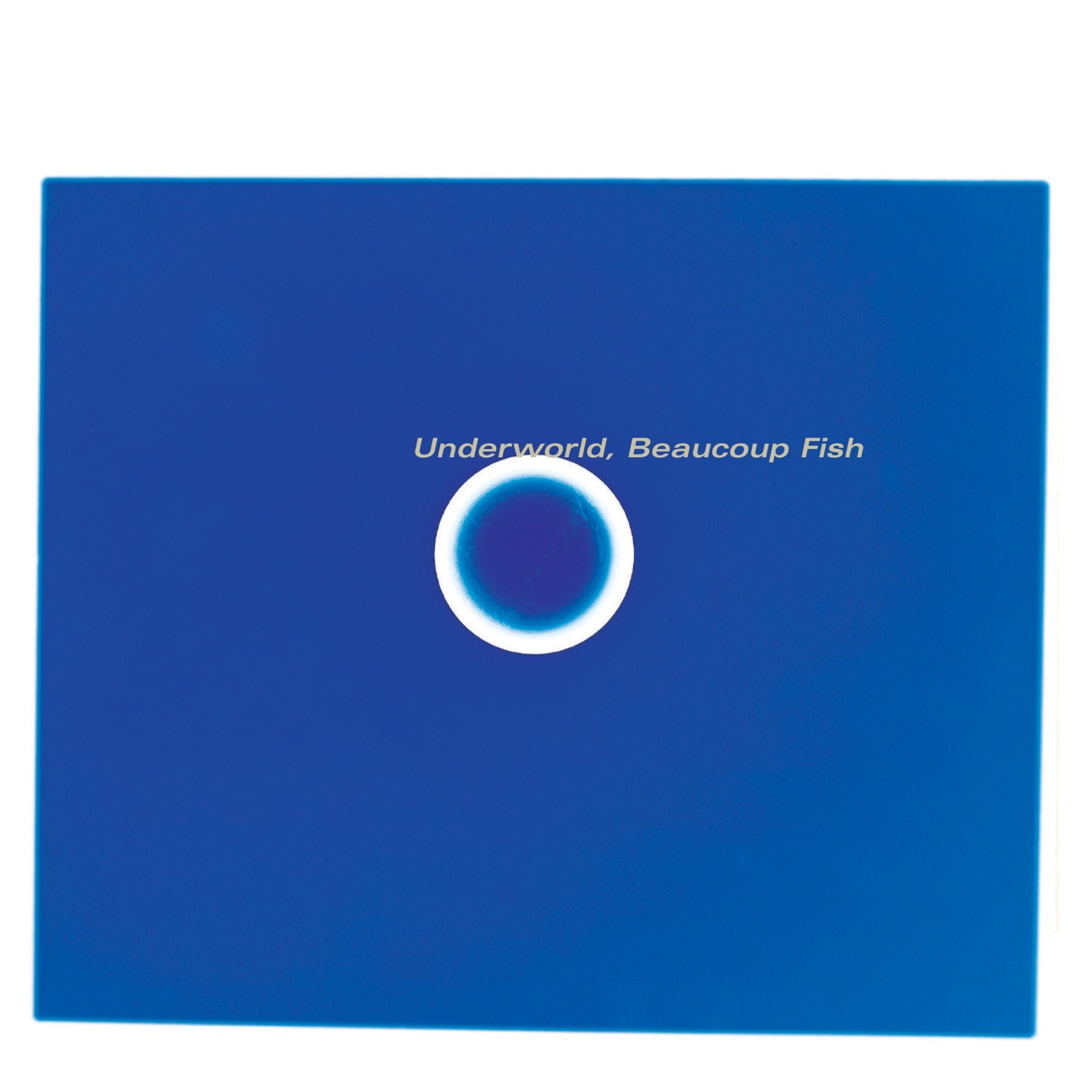 Beaucoup Fish (Remastered) by Underworld album cover